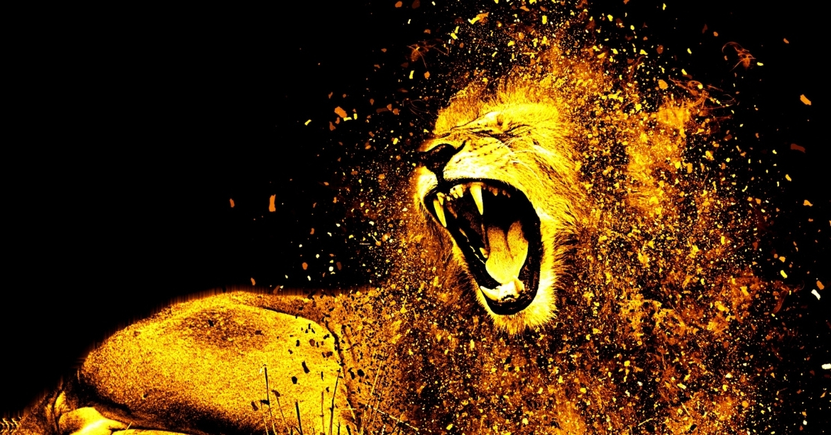 Are you prepared for the gate portal within the lion, aka one of the best day to indicate?